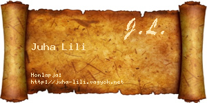 Juha Lili névjegykártya
